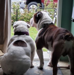 Meet your Posher, Raedean